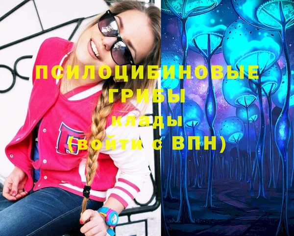 ПСИЛОЦИБИНОВЫЕ ГРИБЫ Магас