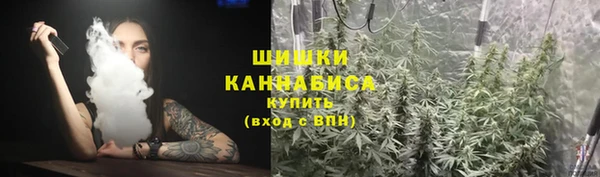 ПСИЛОЦИБИНОВЫЕ ГРИБЫ Магас