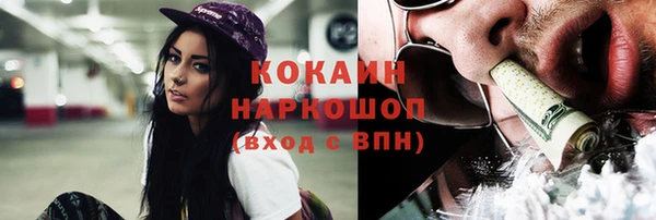 ПСИЛОЦИБИНОВЫЕ ГРИБЫ Магас