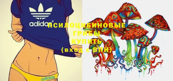дурь Майский