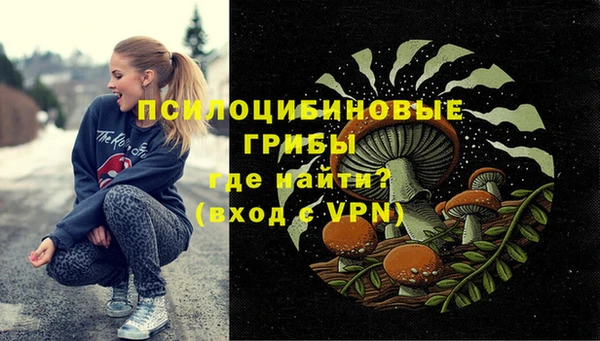 ПСИЛОЦИБИНОВЫЕ ГРИБЫ Магас