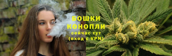 ПСИЛОЦИБИНОВЫЕ ГРИБЫ Магас
